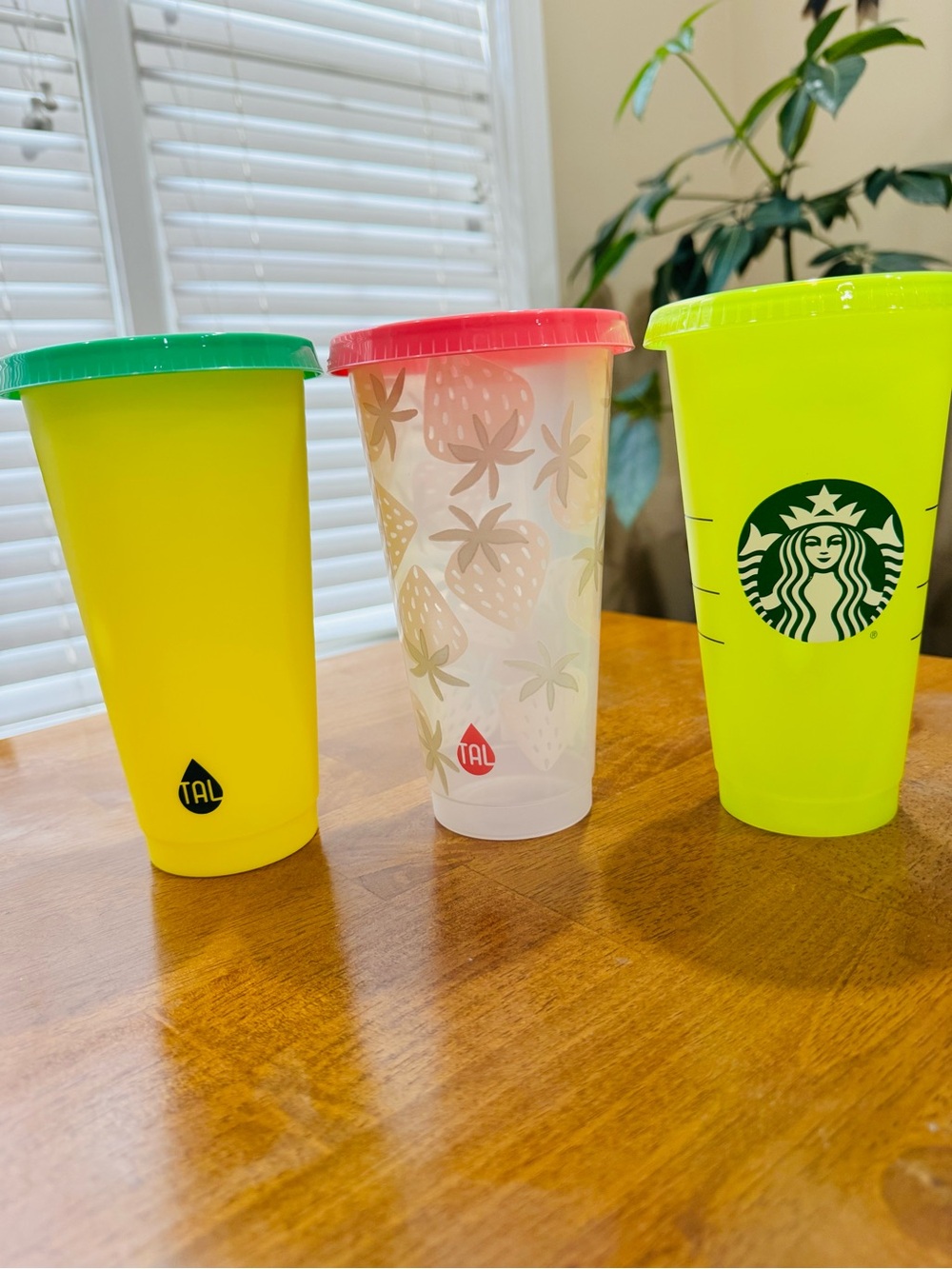 Starbucks and TAL reusable 24 oz. cold cups Set of 3-with lids